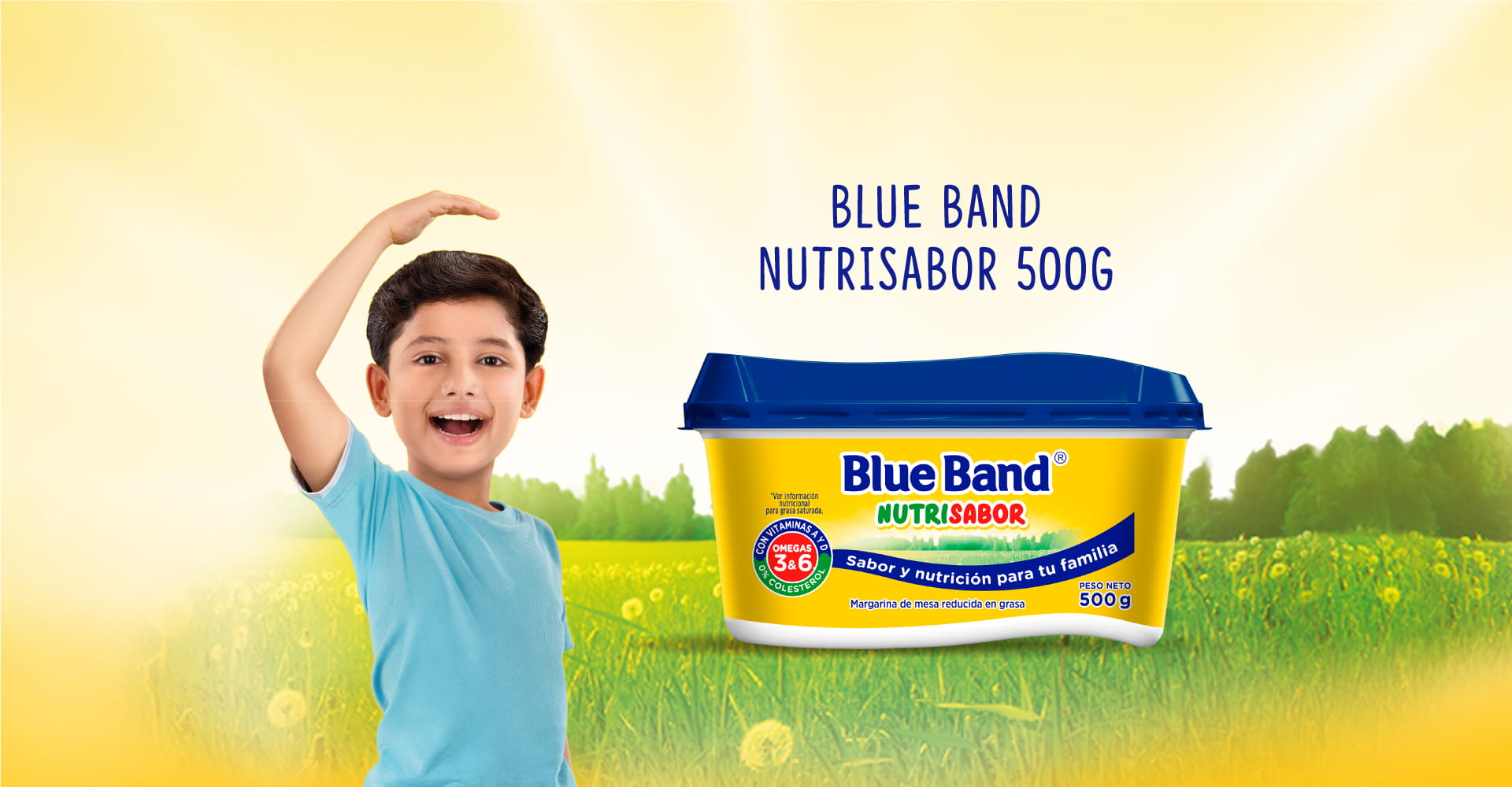 Blue Band Original 250g