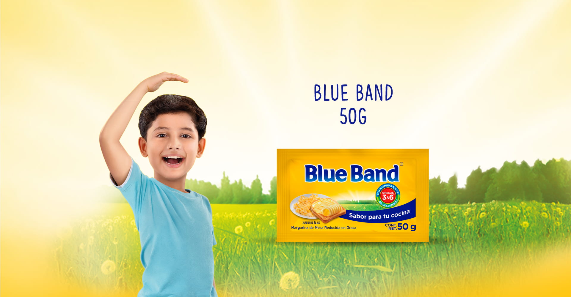 Blue Band Spread 250g