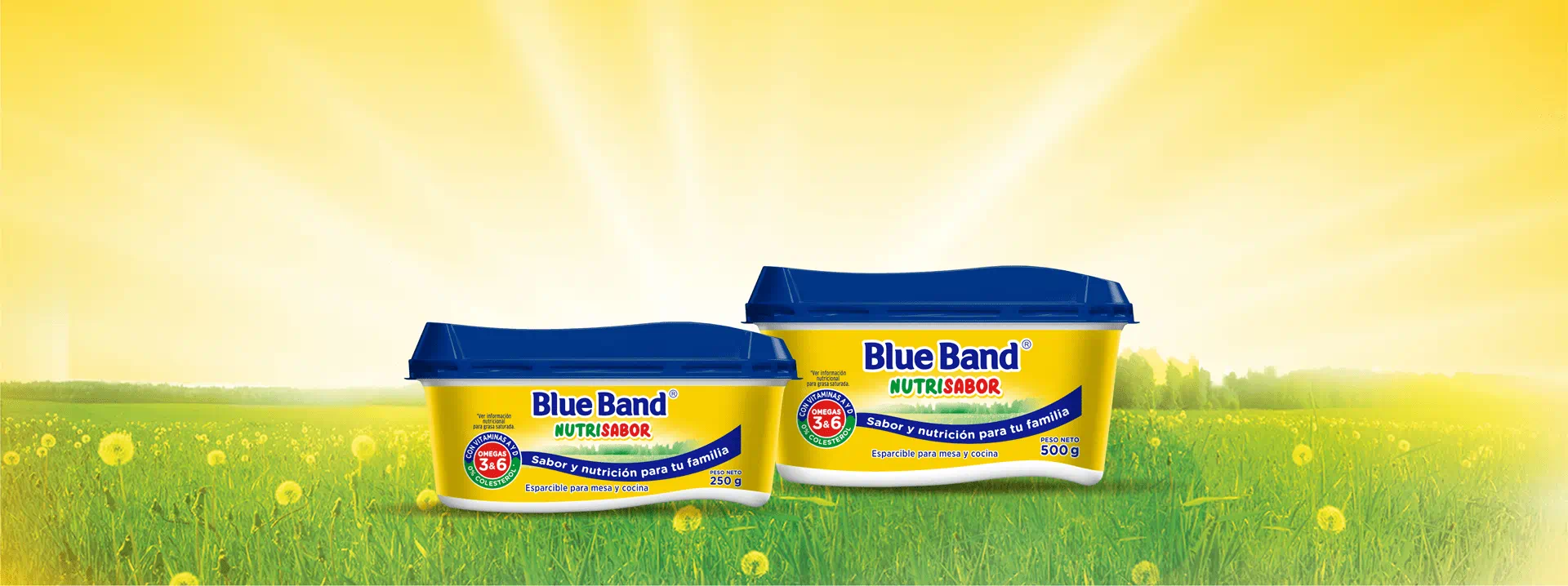 Blue Band Orginal